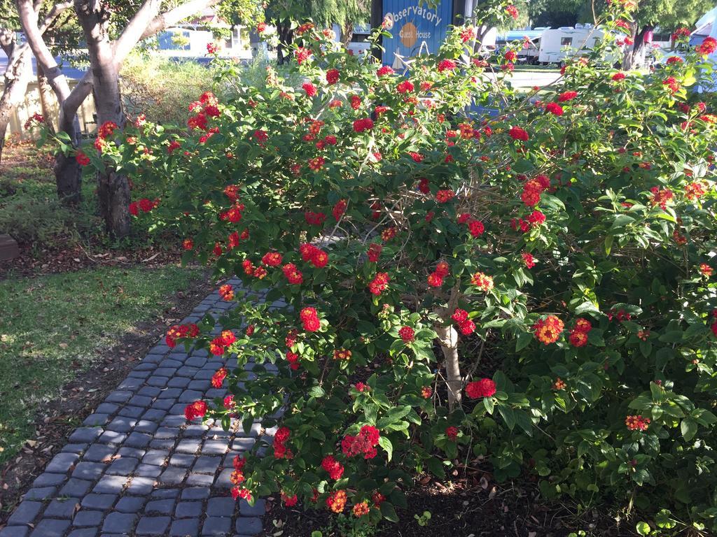 Observatory Guesthouse - Adults Only Busselton Exteriör bild